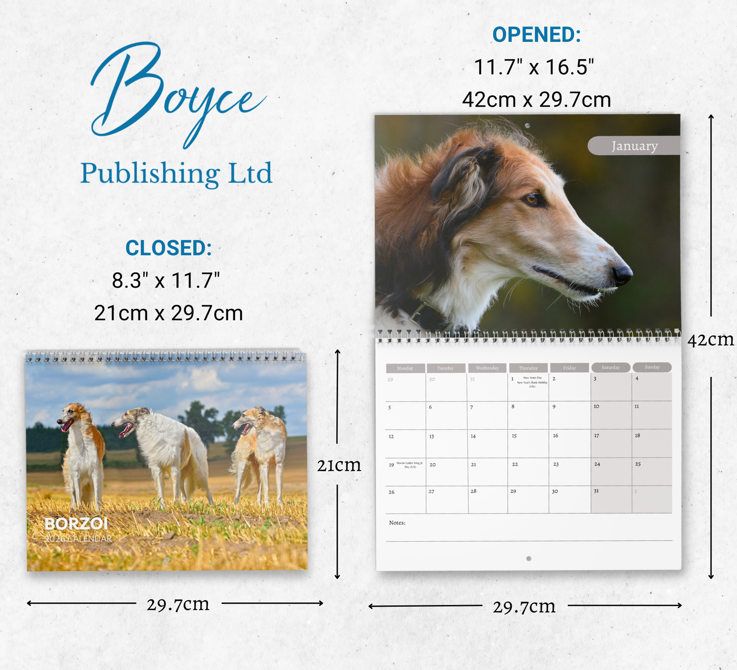 Borzoi Calendar 2026