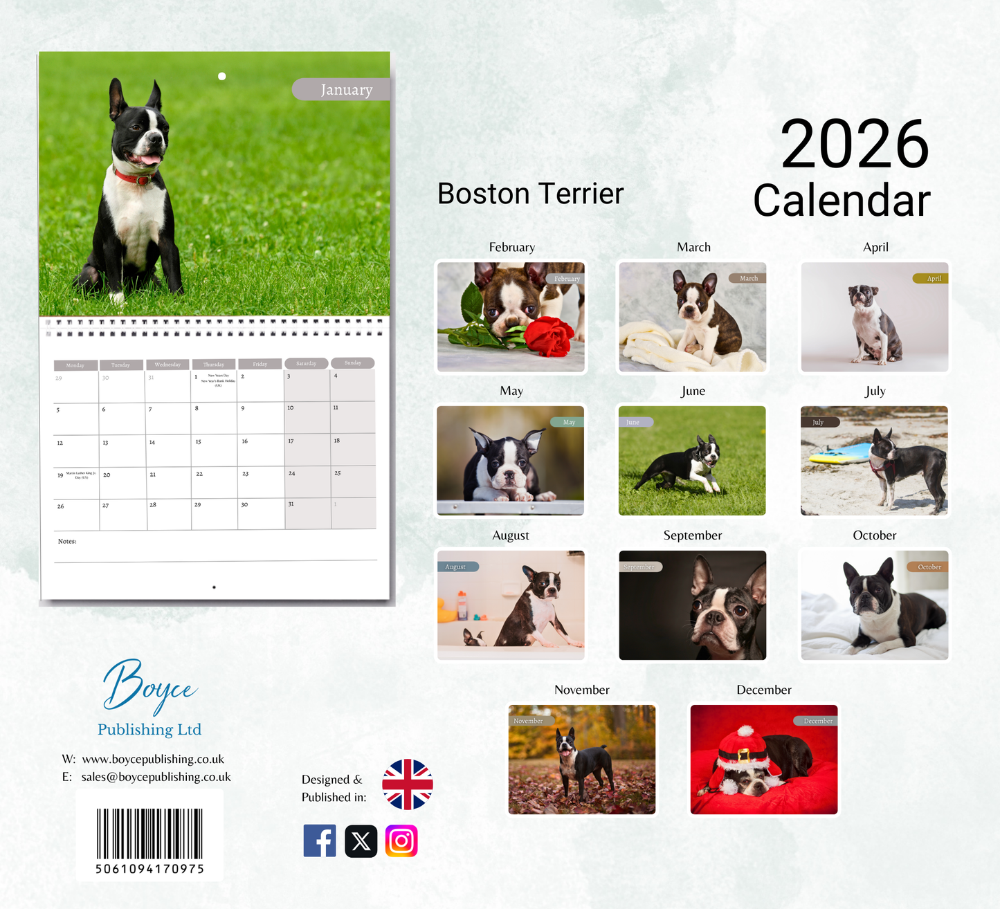 Boston Terrier Calendar 2026