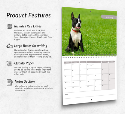 Boston Terrier Calendar 2026