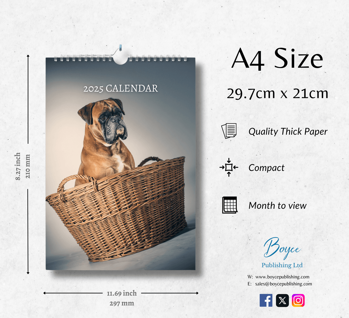 Boxer Dog Calendar 2025