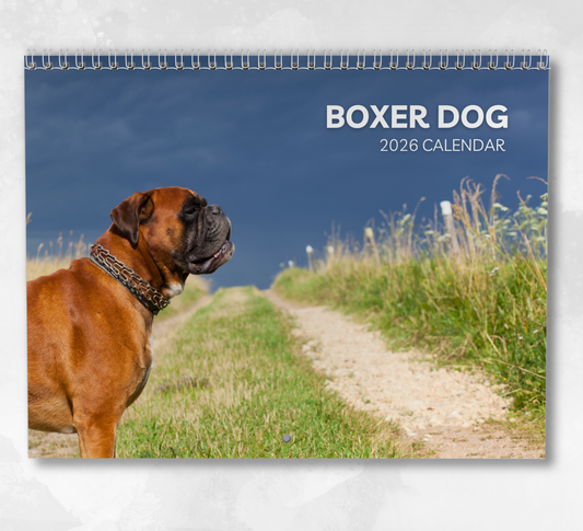 Boxer Dog Calendar 2026