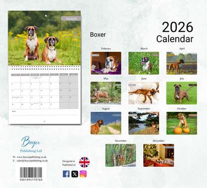 Boxer Dog Calendar 2026