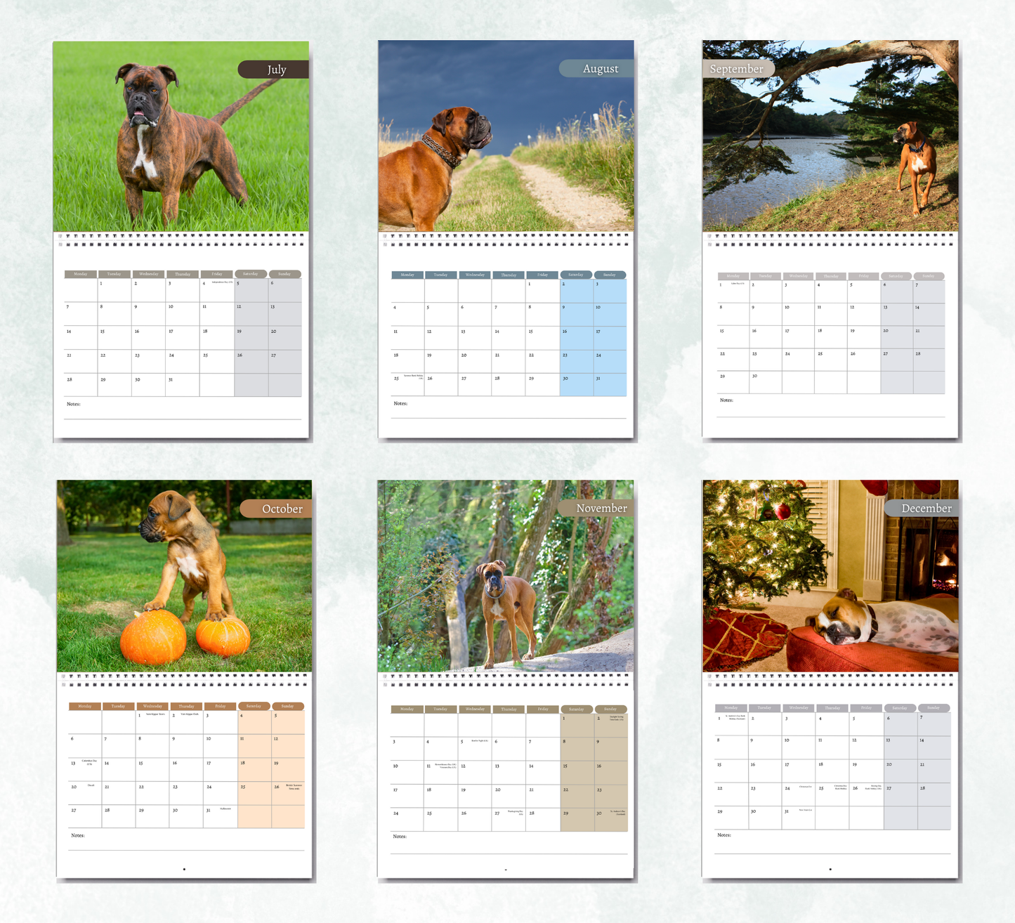 Boxer Dog Calendar 2026