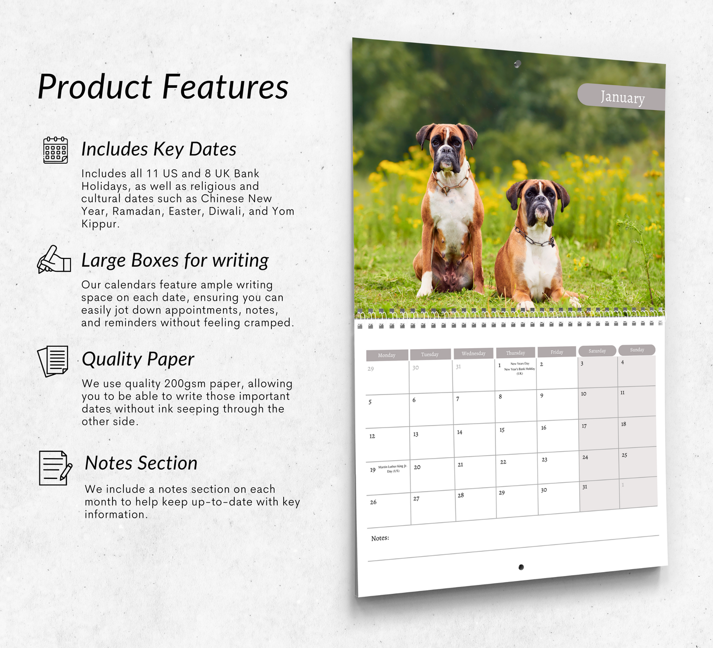 Boxer Dog Calendar 2026