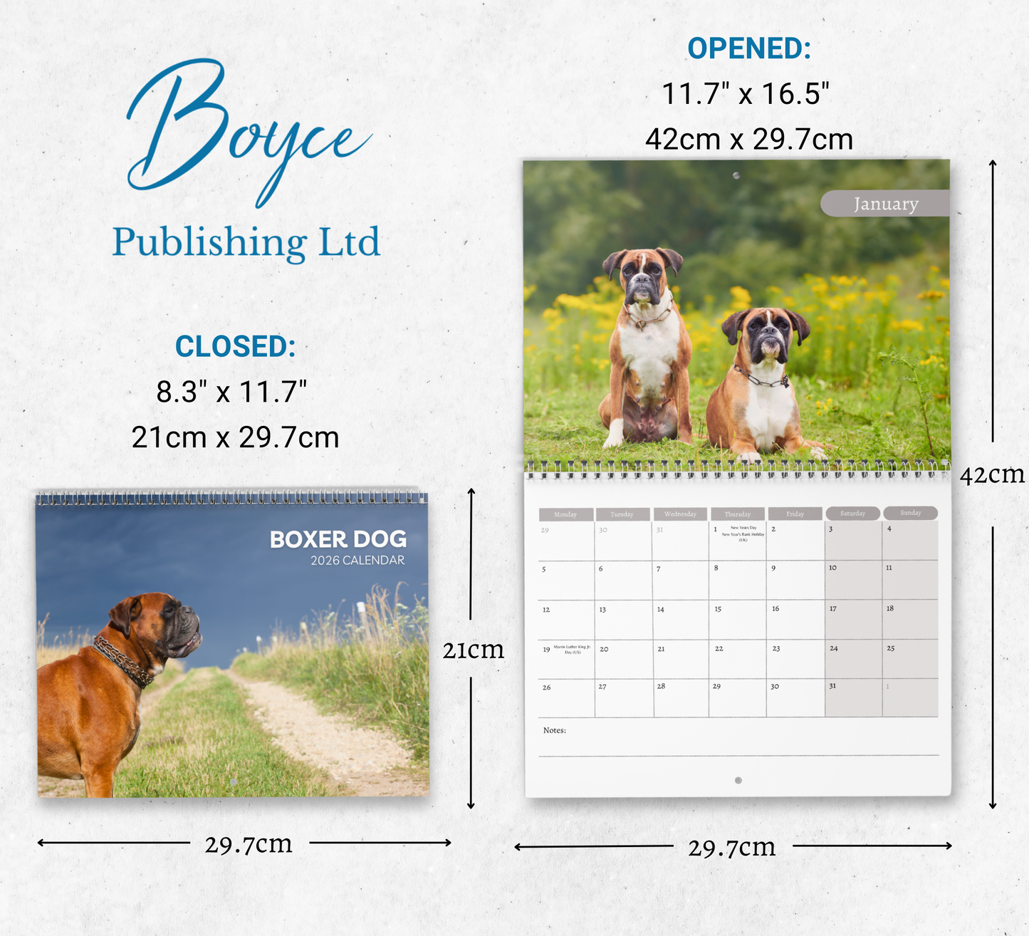 Boxer Dog Calendar 2026