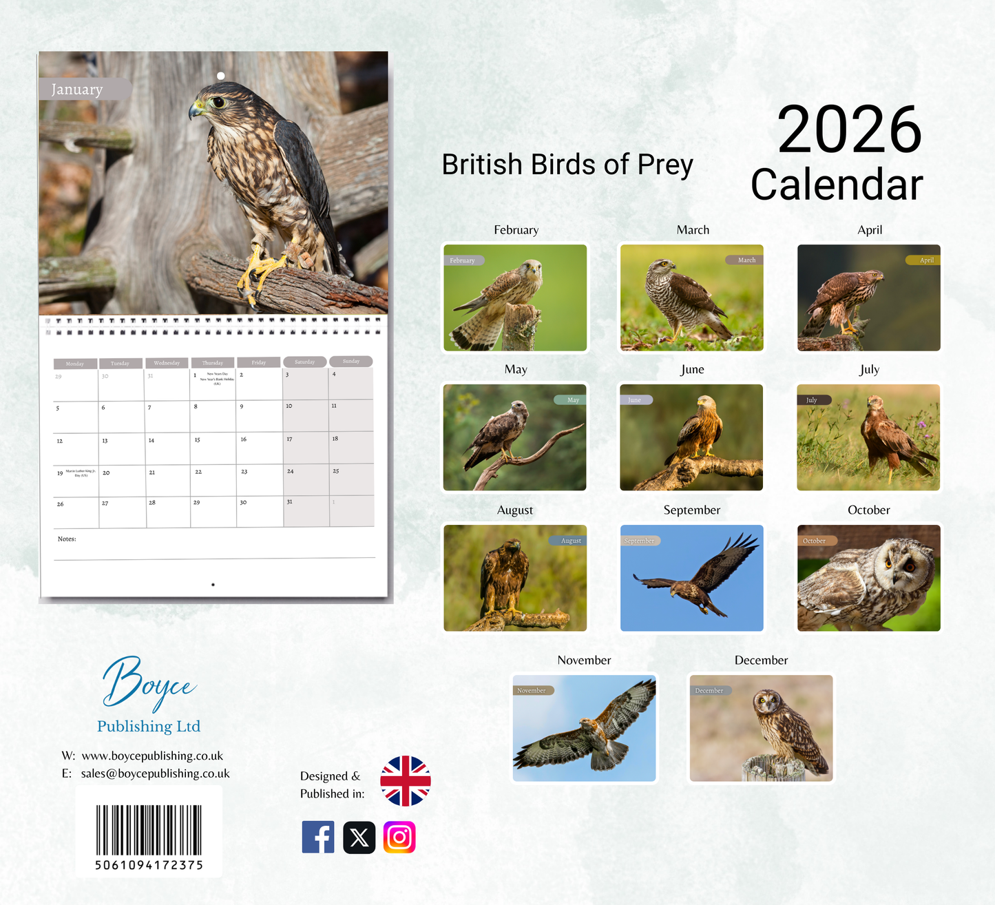 British Birds of Prey Calendar 2026