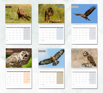 British Birds of Prey Calendar 2026