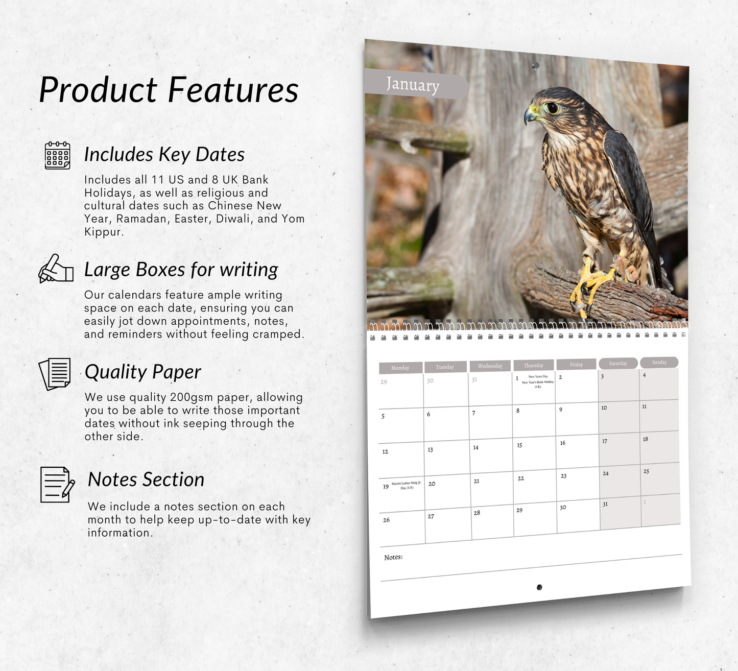 British Birds of Prey Calendar 2026