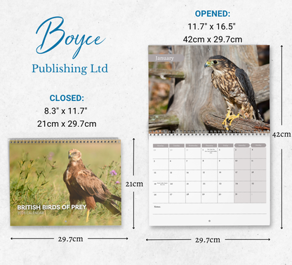 British Birds of Prey Calendar 2026