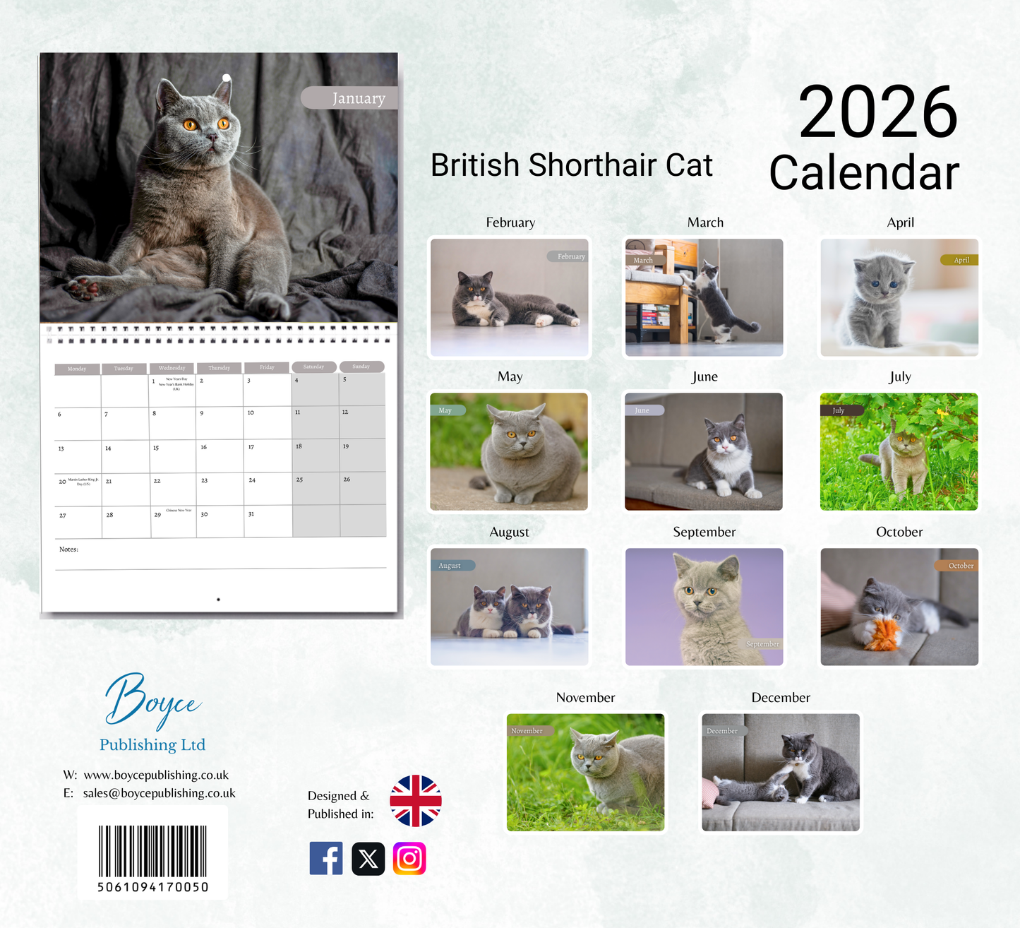 British Shorthair Cat Calendar 2026