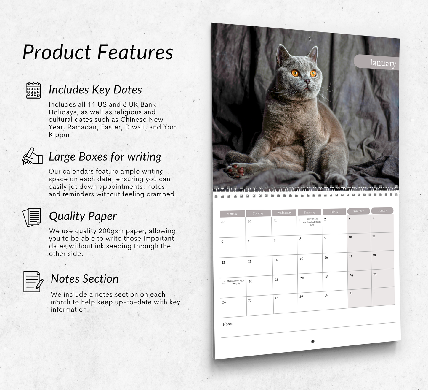 British Shorthair Cat Calendar 2026