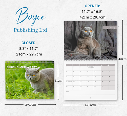 British Shorthair Cat Calendar 2026