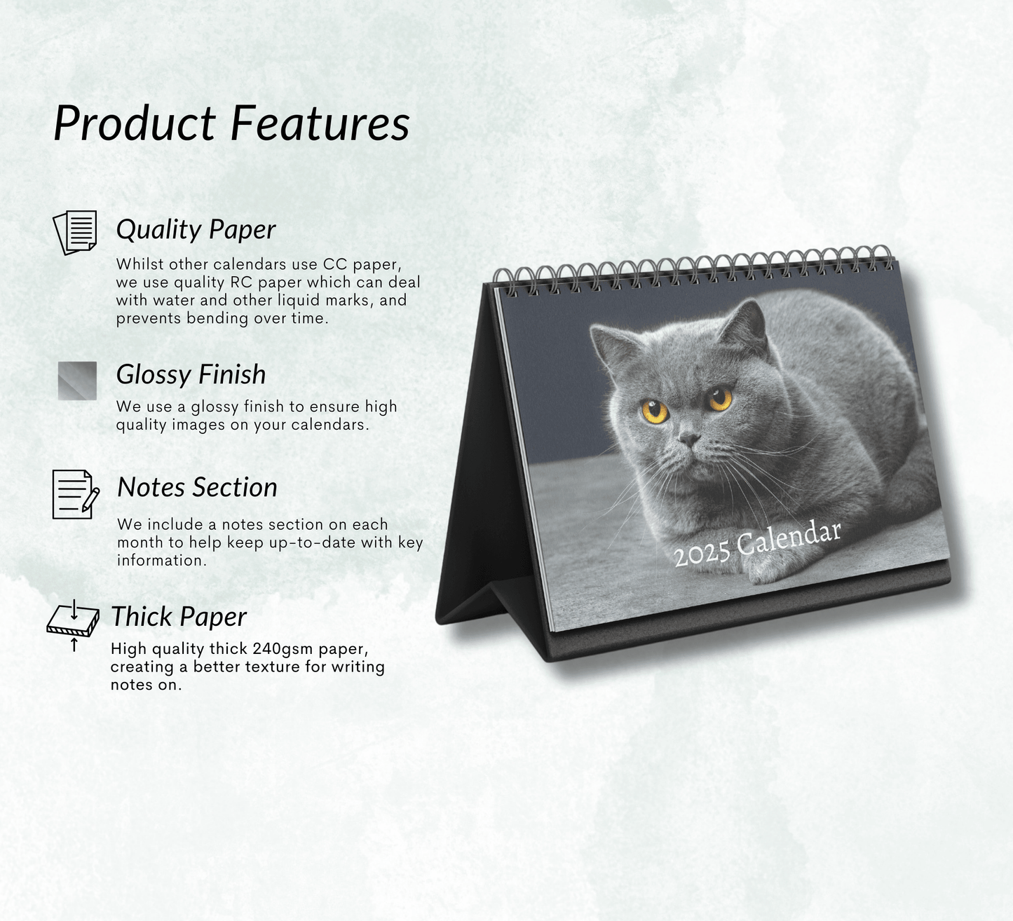 British Shorthair Cat Desk Calendar 2025