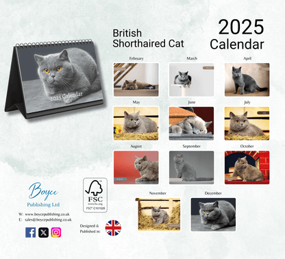 British Shorthair Cat Desk Calendar 2025