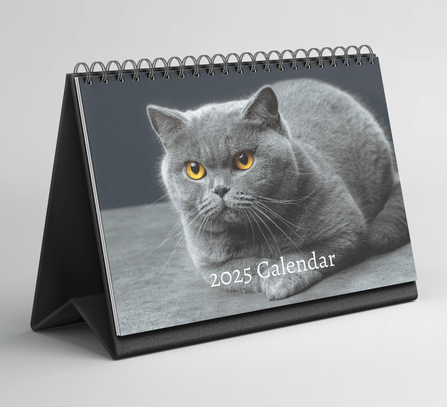 British Shorthair Cat Desk Calendar 2025