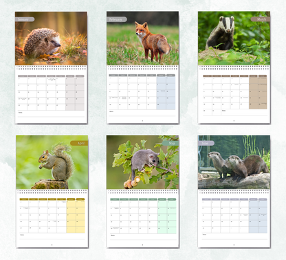British Wildlife Calendar 2026