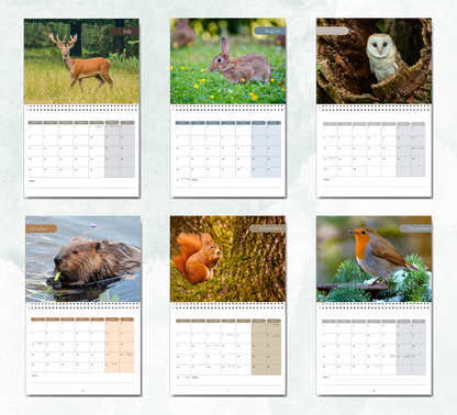 British Wildlife Calendar 2026