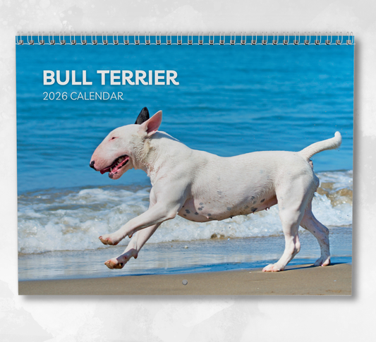 Bull Terrier Calendar 2026