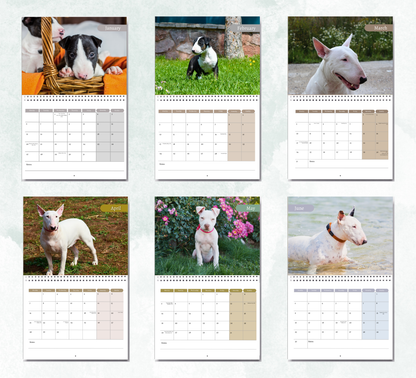 Bull Terrier Calendar 2026