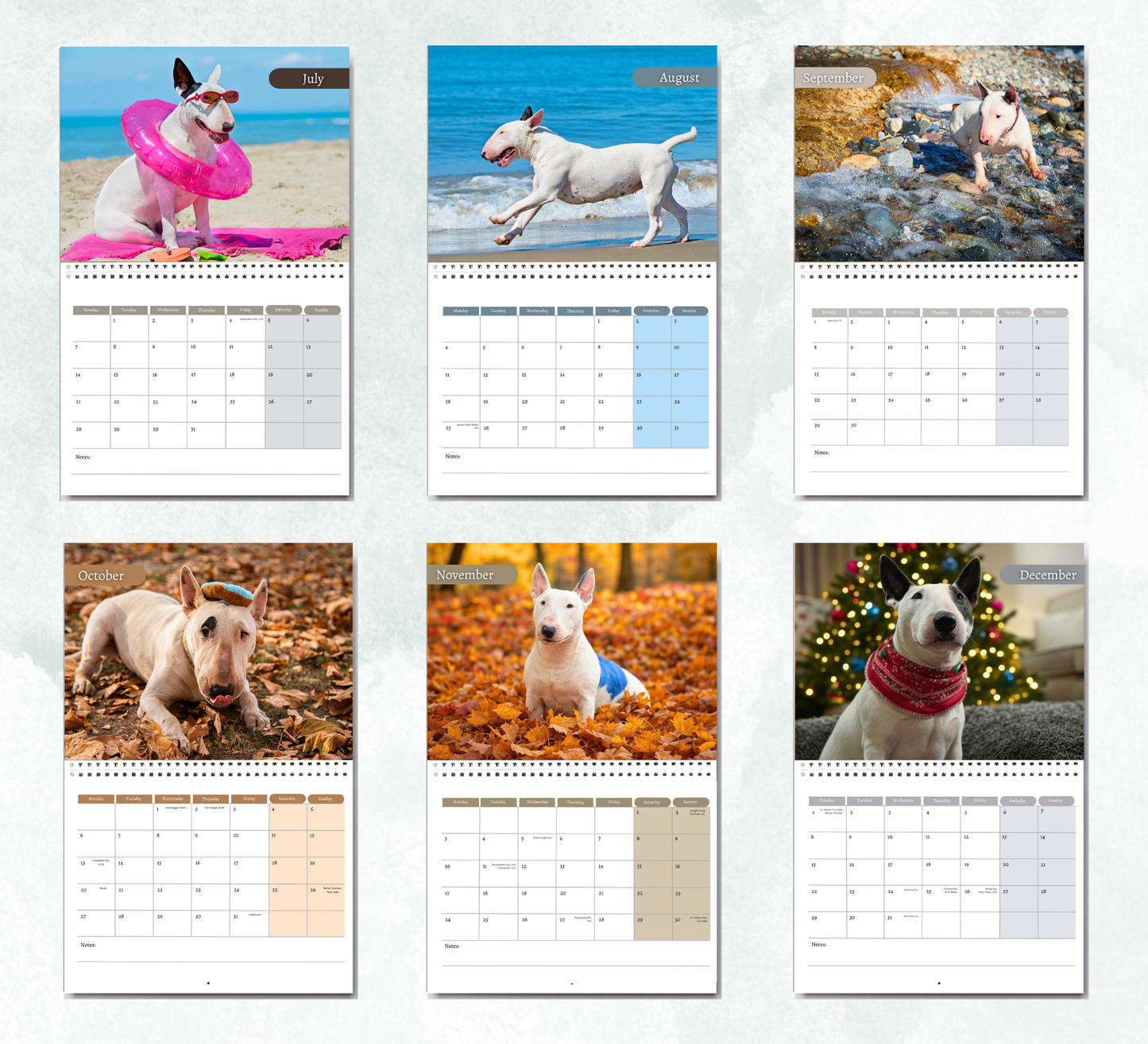 Bull Terrier Calendar 2026