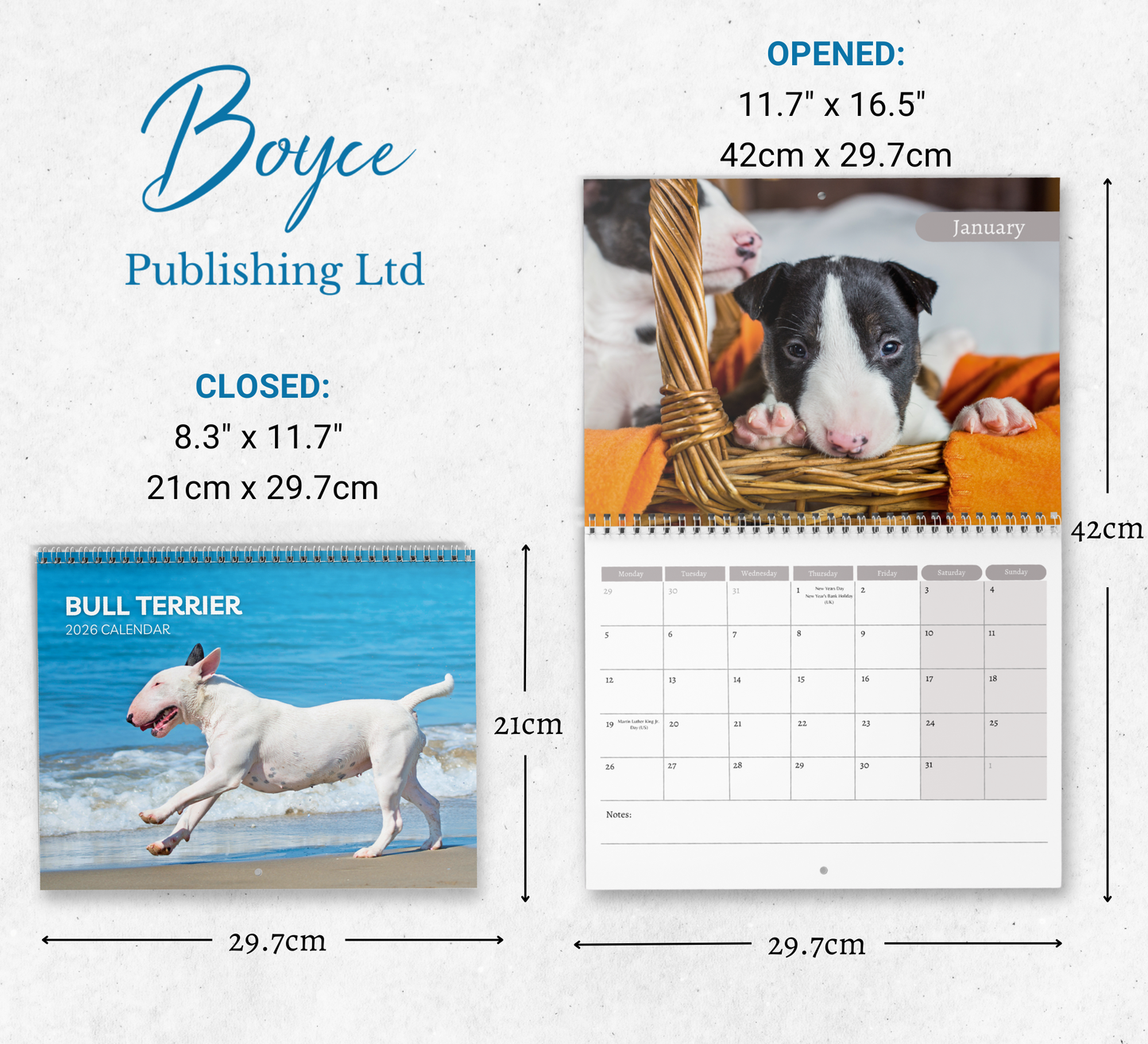 Bull Terrier Calendar 2026