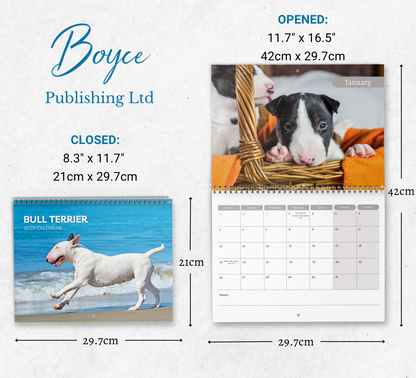 Bull Terrier Calendar 2026