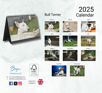 Bull Terrier Desk Calendar 2025
