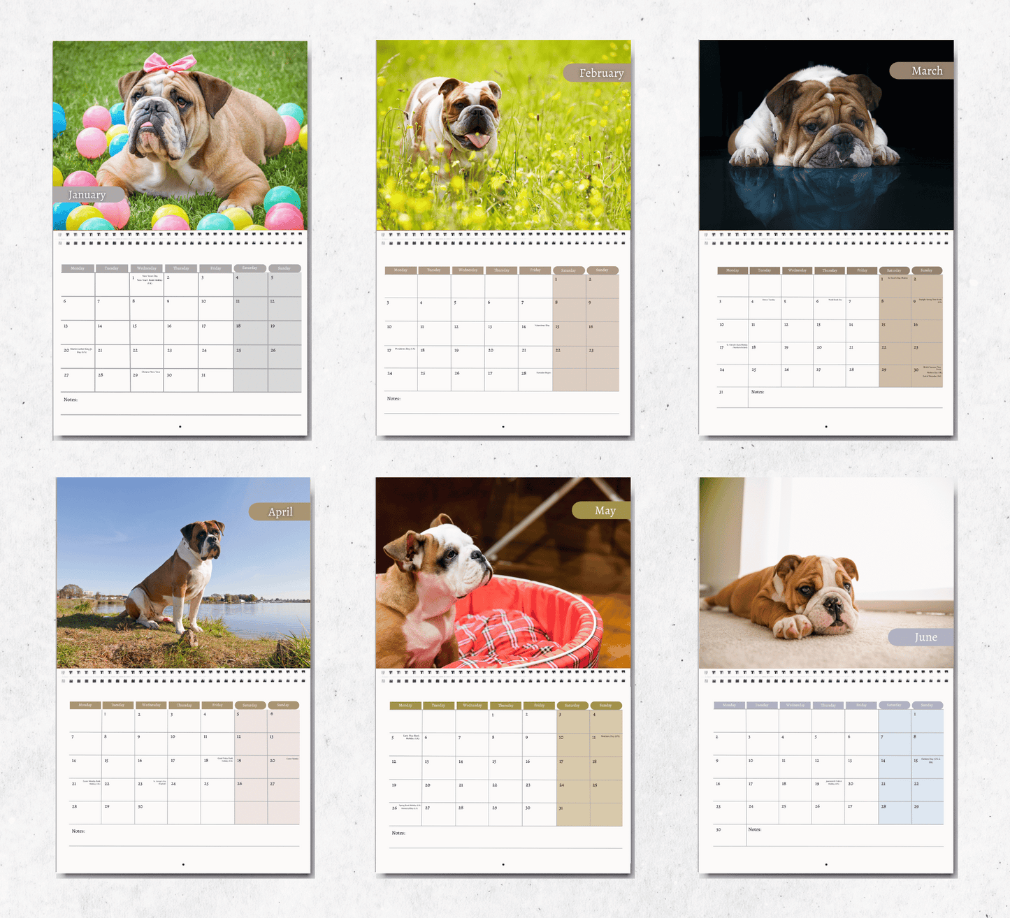 Bulldog Calendar 2025