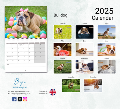 Bulldog Calendar 2025