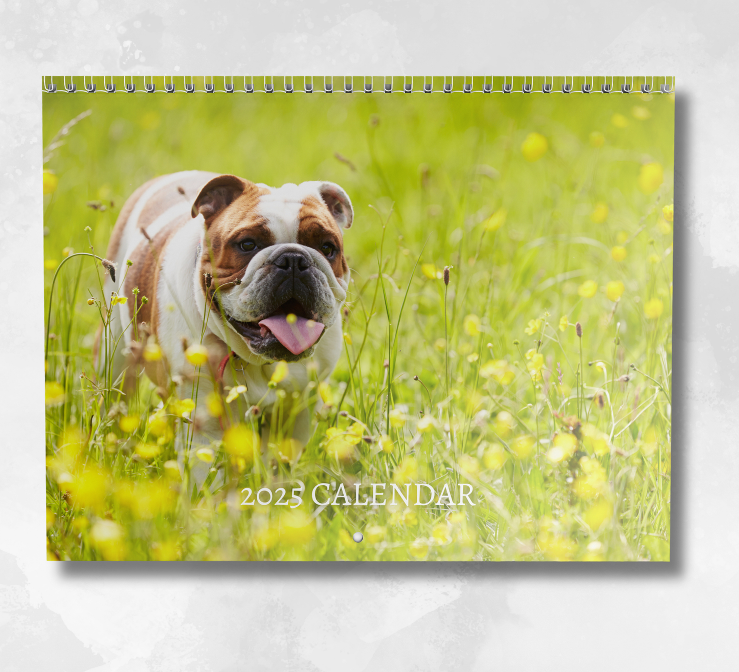 Bulldog Calendar 2025