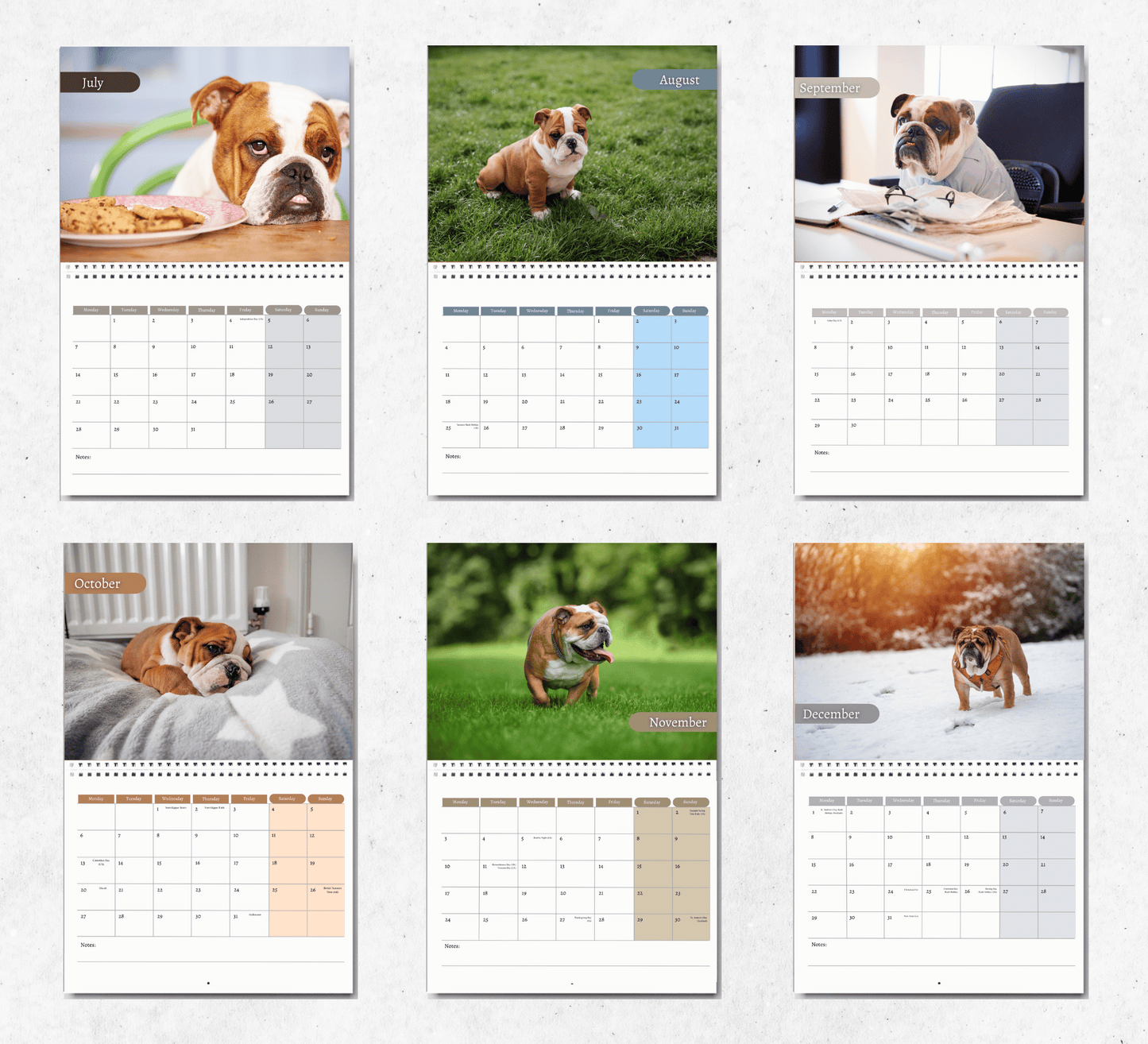 Bulldog Calendar 2025