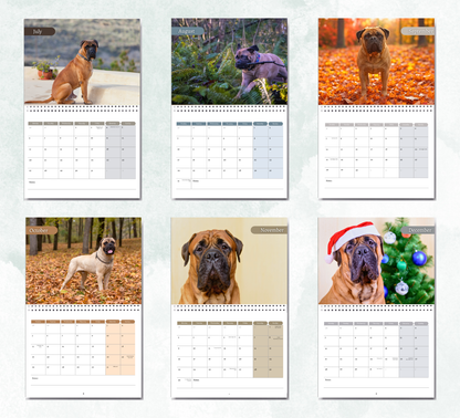 Bullmastiff Calendar 2026