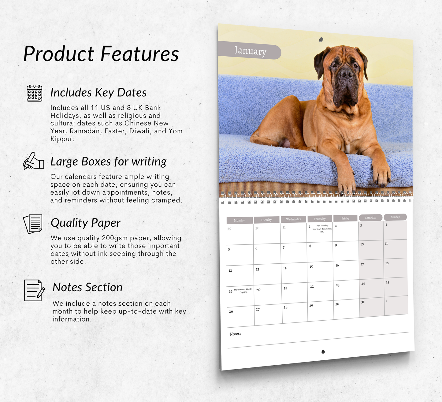 Bullmastiff Calendar 2026