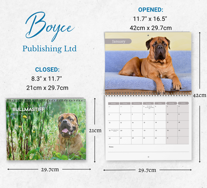 Bullmastiff Calendar 2026