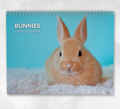 Bunnies Calendar 2026