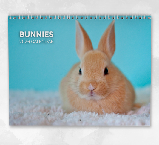 Bunnies Calendar 2026