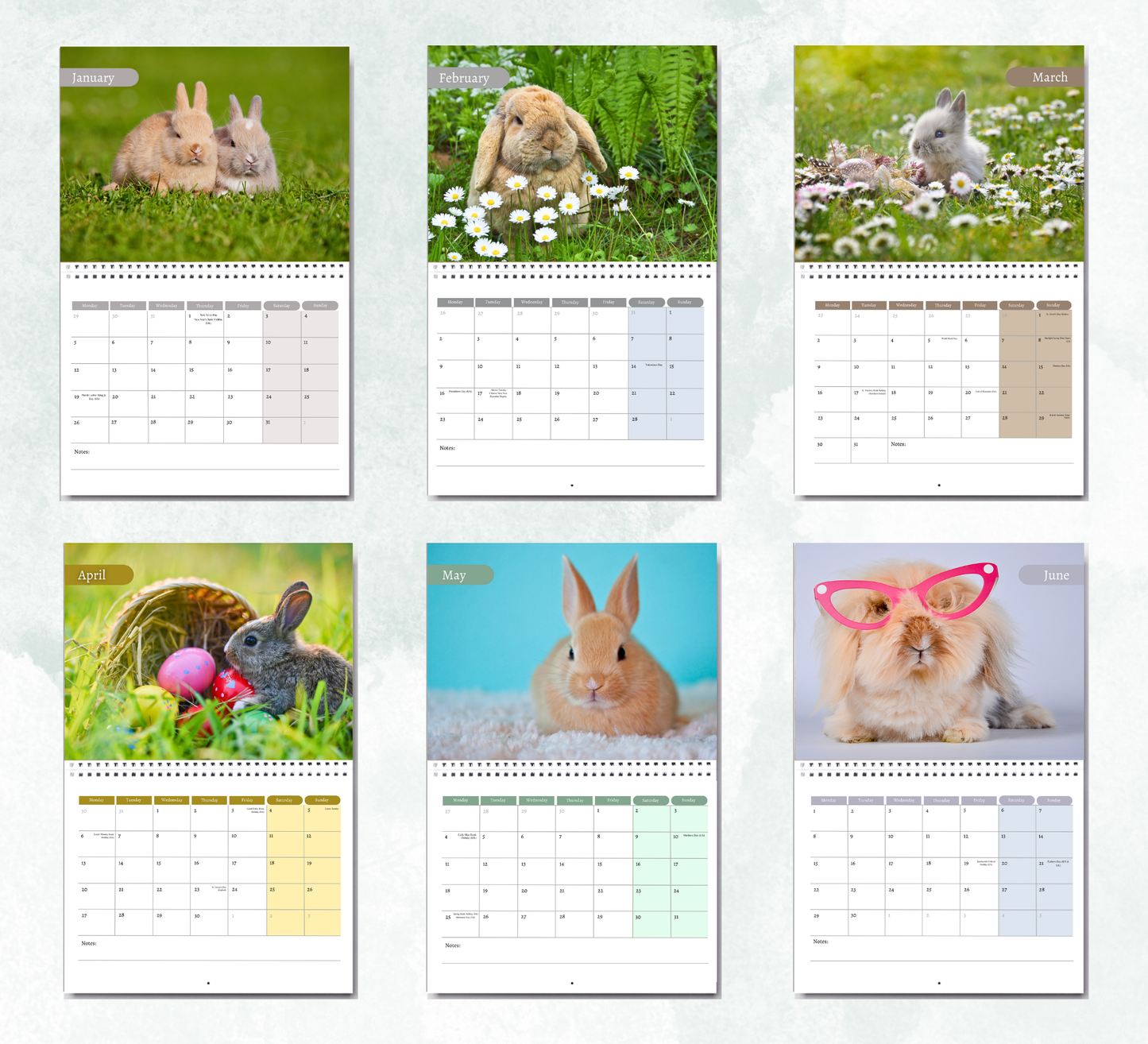 Bunnies Calendar 2026