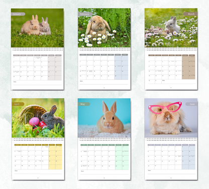 Bunnies Calendar 2026