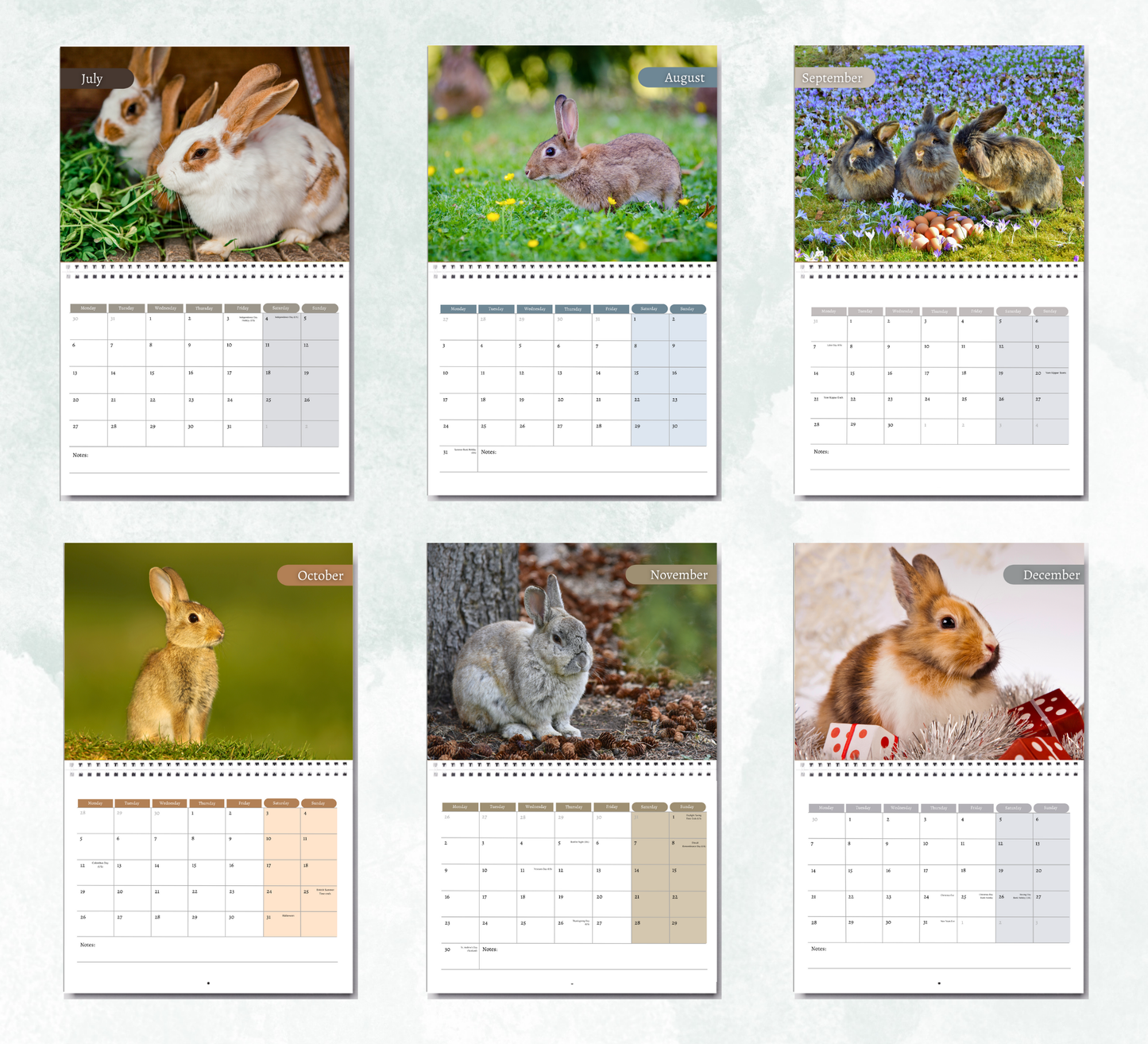 Bunnies Calendar 2026