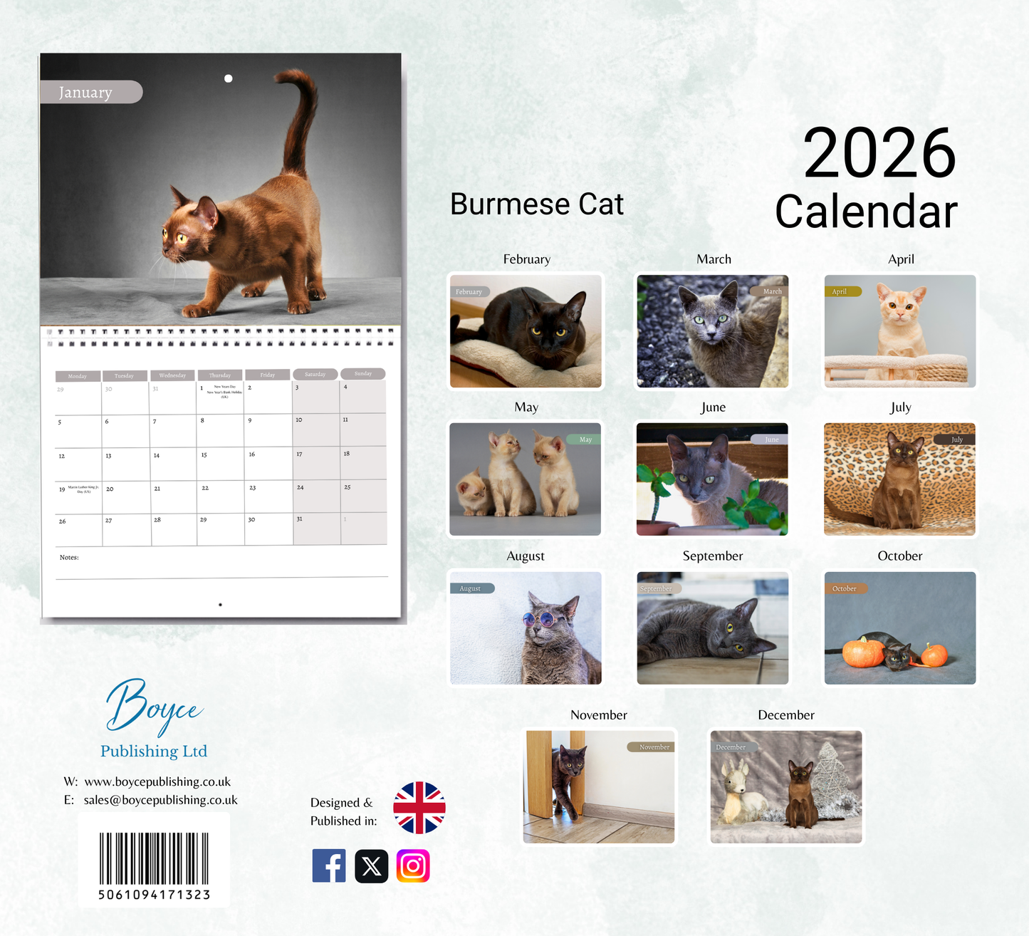 Burmese Cat Calendar 2026