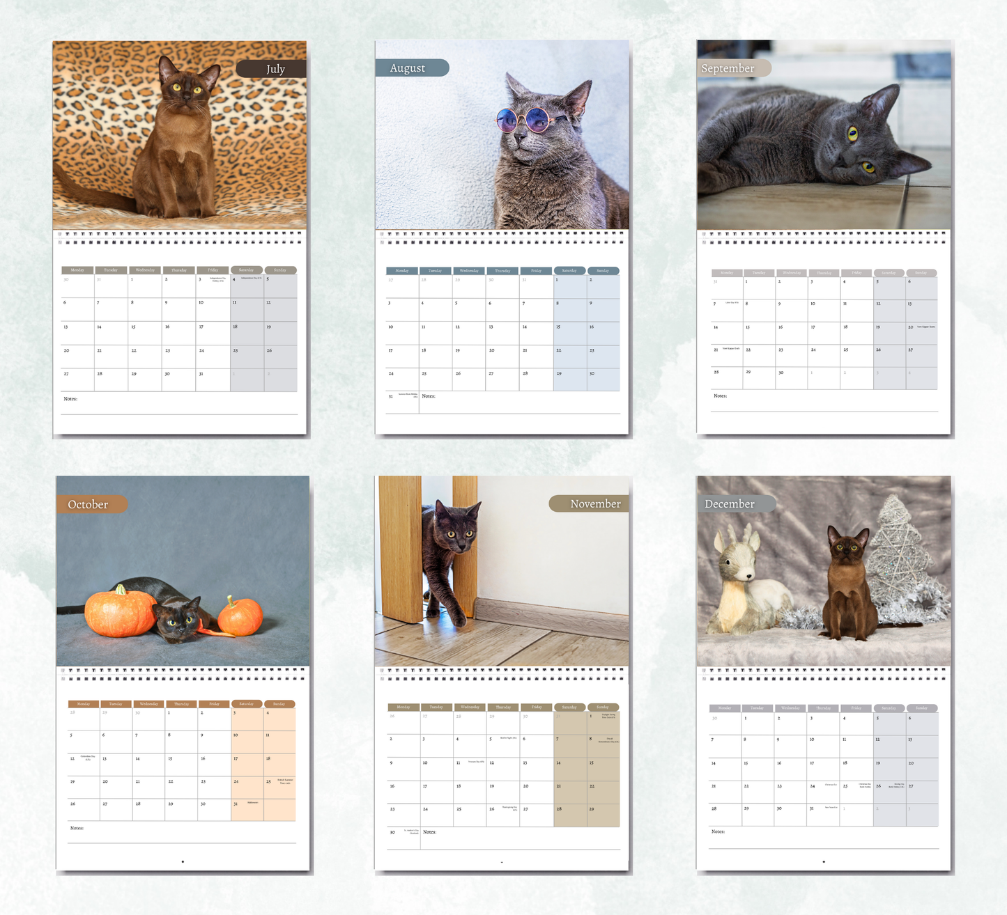 Burmese Cat Calendar 2026