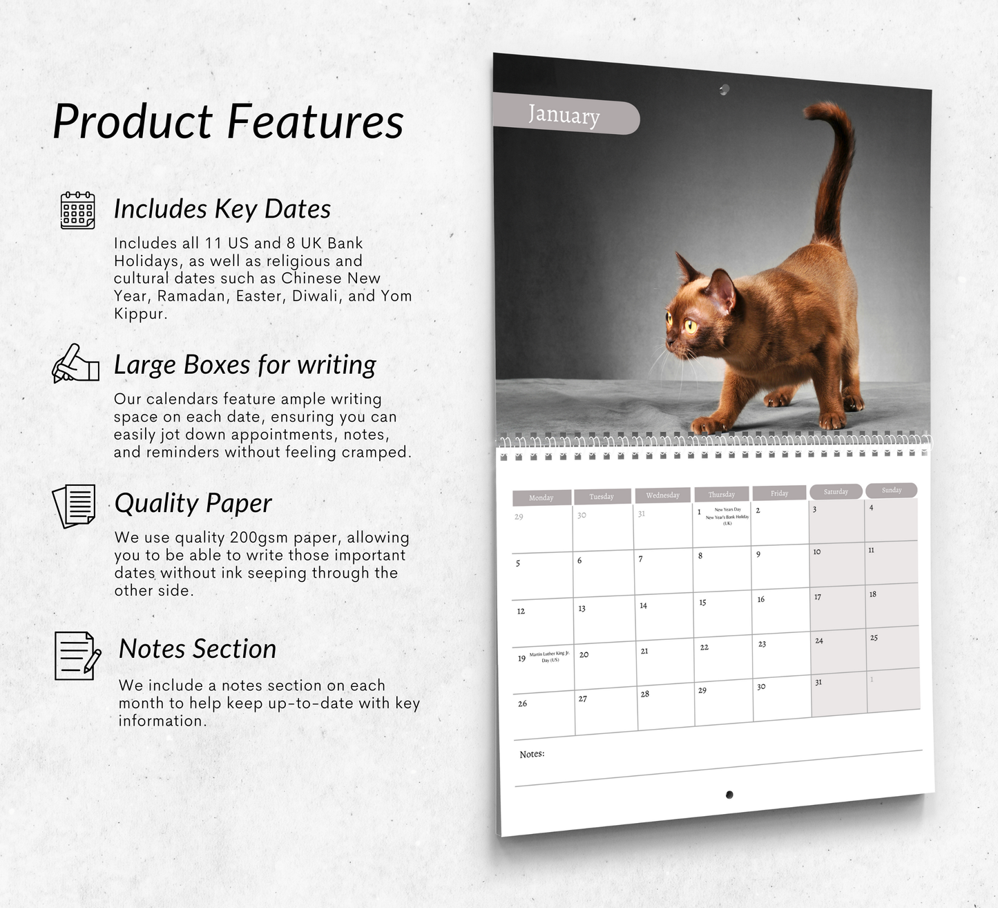 Burmese Cat Calendar 2026