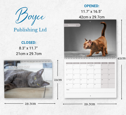 Burmese Cat Calendar 2026