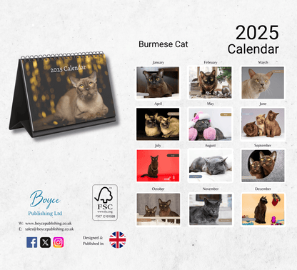 Burmese Cat Desk Calendar 2025