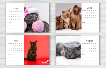 Burmese Cat Desk Calendar 2025