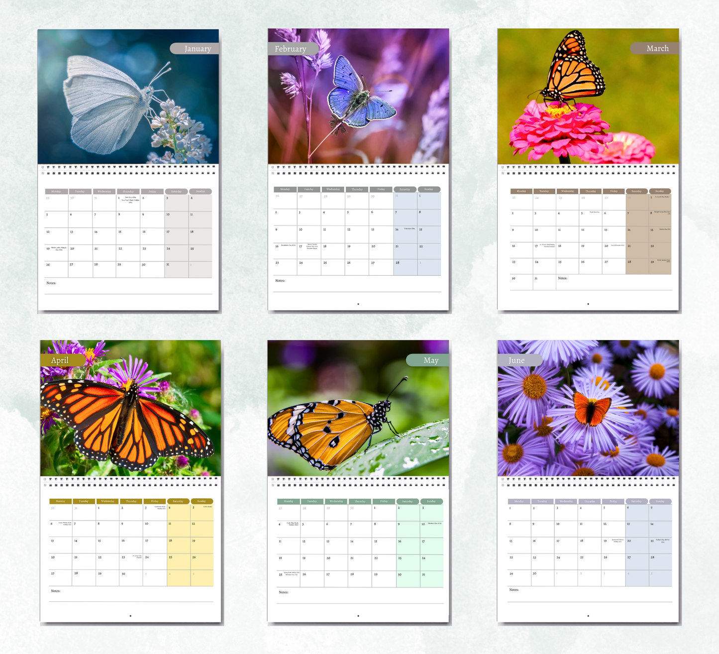 Butterfly Calendar 2026
