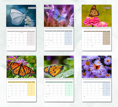 Butterfly Calendar 2026