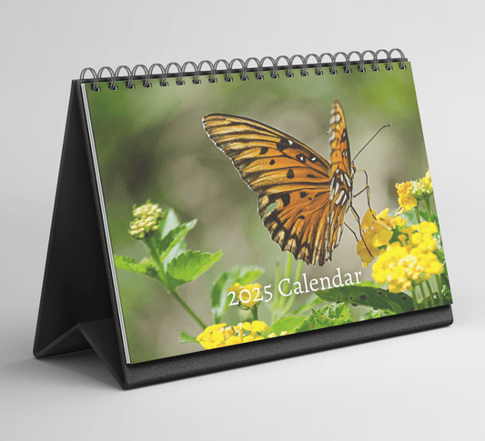 Butterfly Desk Calendar 2025