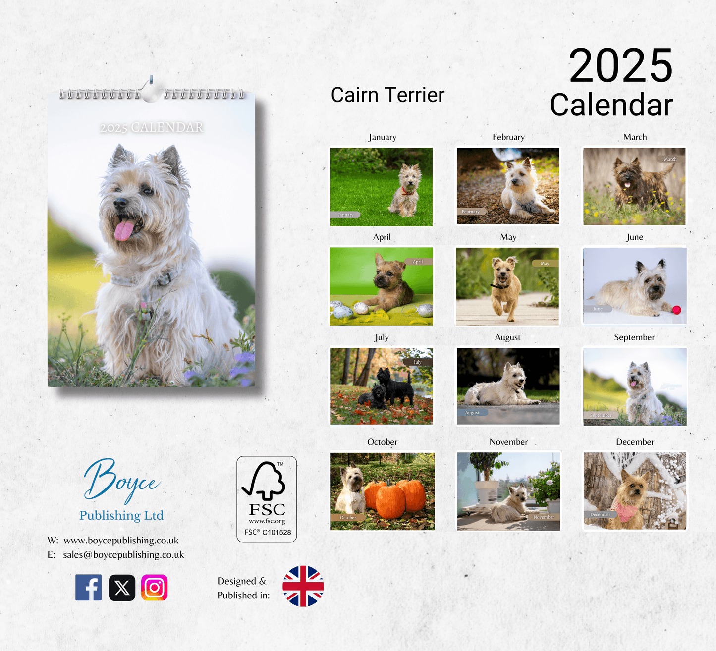 Cairn Terrier Calendar 2025