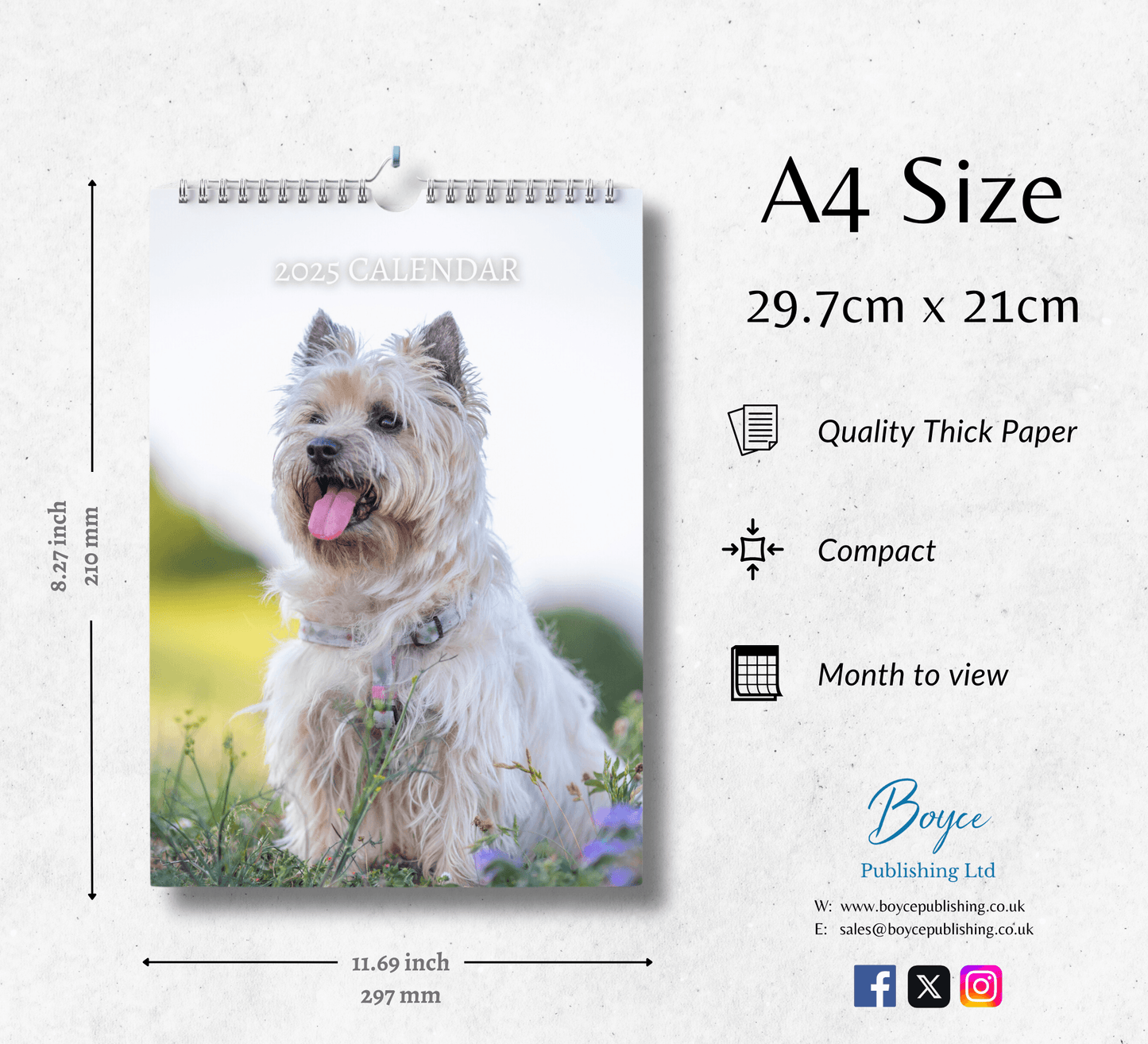 Cairn Terrier Calendar 2025